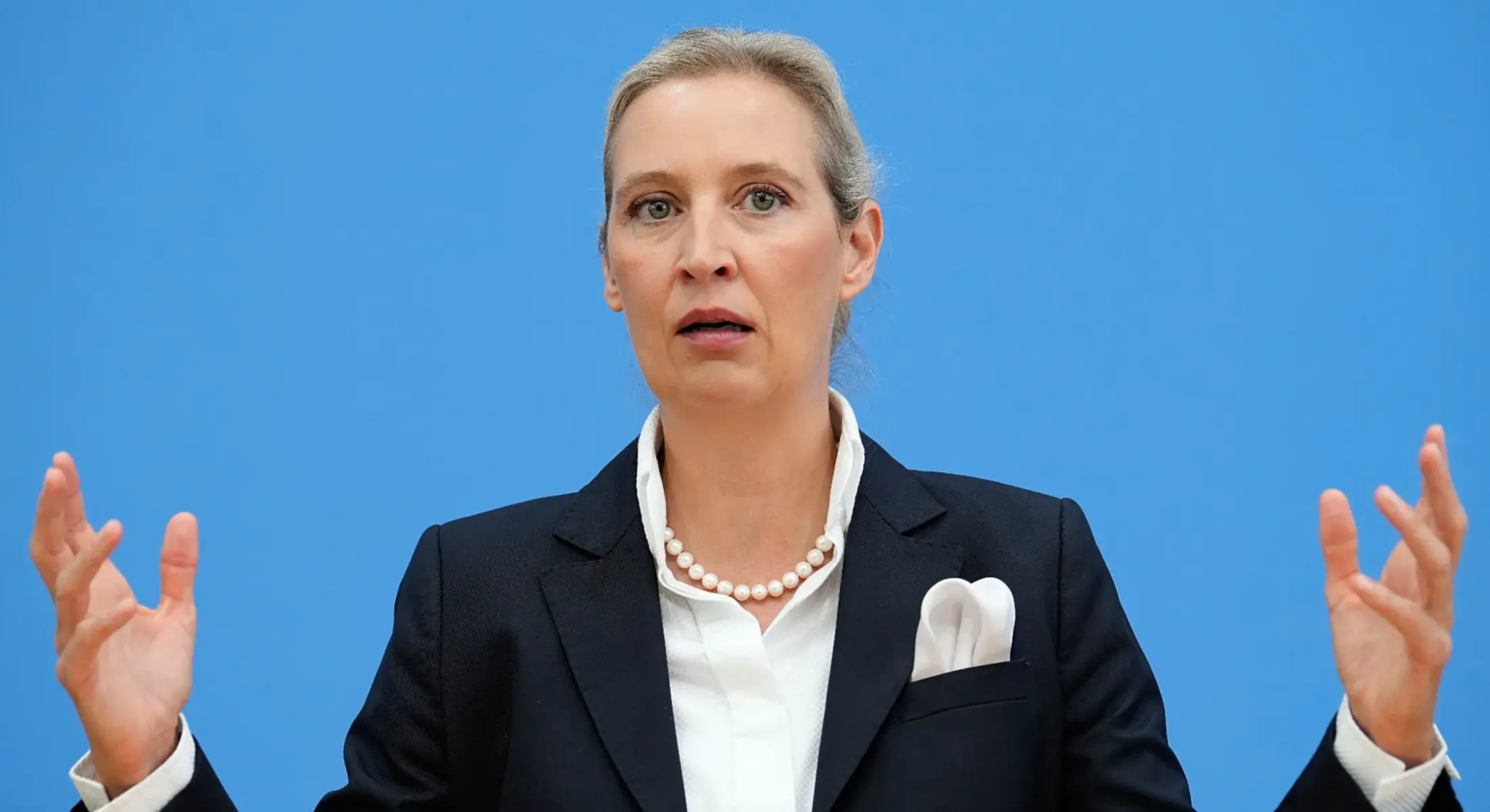 AfD-Datenleck: 421.000 interne Mails im Netz