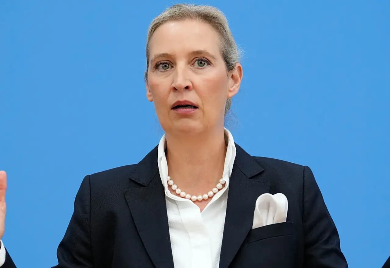 AfD-Datenleck: 421.000 interne Mails im Netz